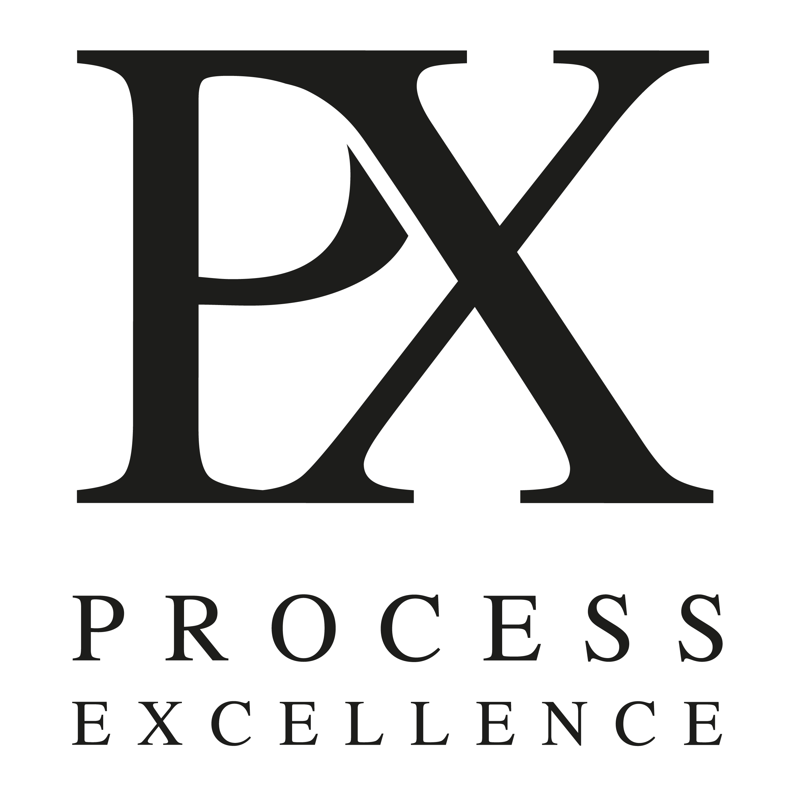 Process Excellence AG